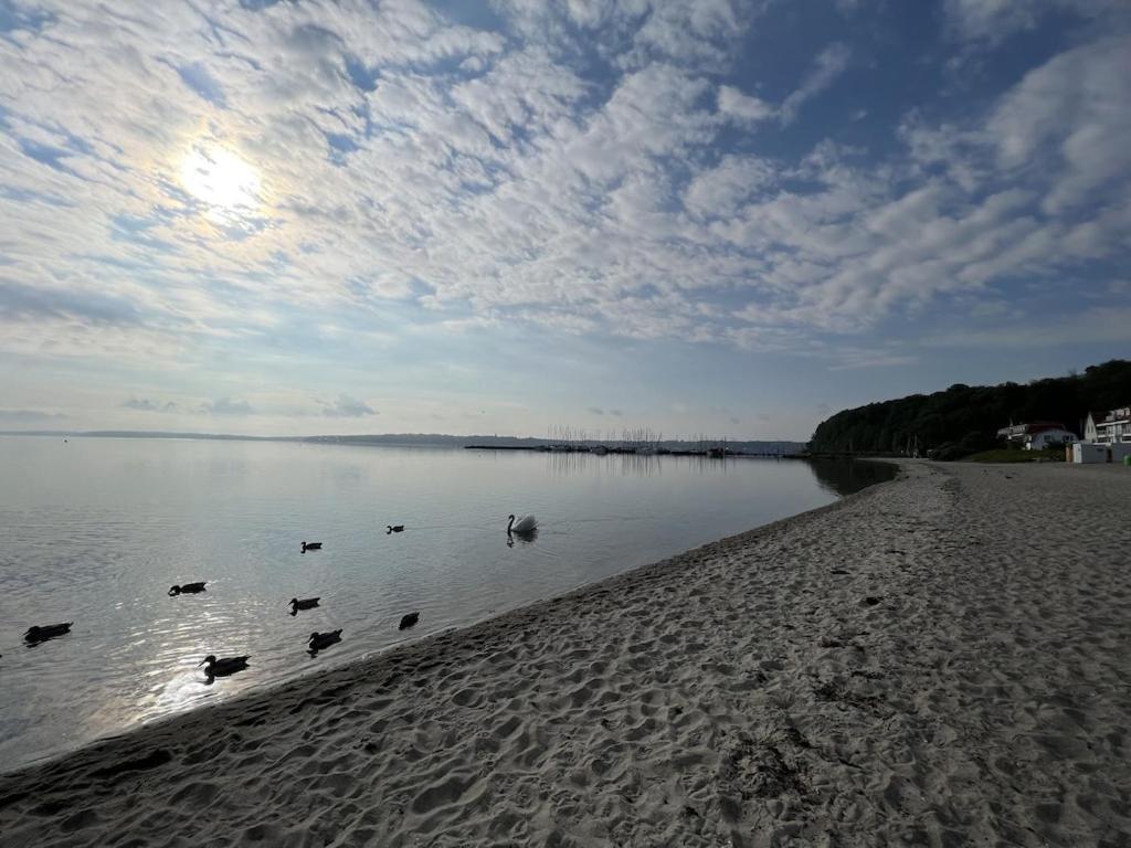 'Kapitaenslounge' Vollsanierte Fewo Mit Blick Auf Die Flensburger Foerde Harrislee Zewnętrze zdjęcie
